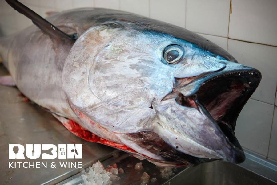 Rubin Kitchen&Wine Rooms ซริกเวนิซา ภายนอก รูปภาพ